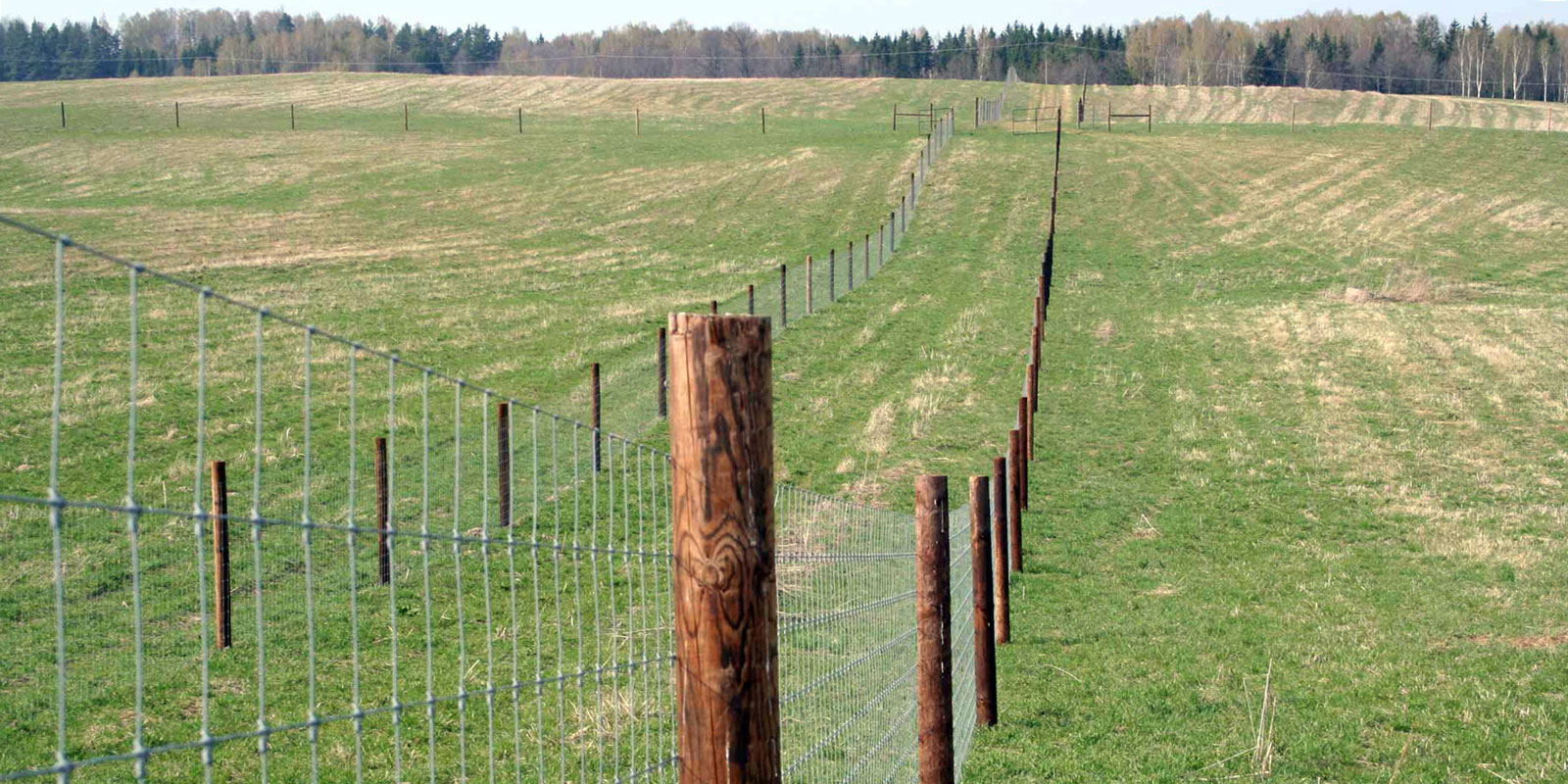 oplocení systémů výstavba jeleních farem komplexní servis oplocení velkých ploch Polsko